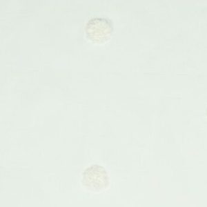 Katoen voile stof, pluche stippen, offwhite. C178