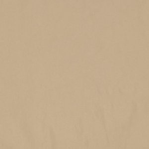 Taslan stof, beige, Poppy meets Pommé. X1414