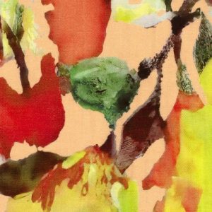 Viscose nylon twill stof, bedrukte bladeren, zalm/groen/bruin. Y257