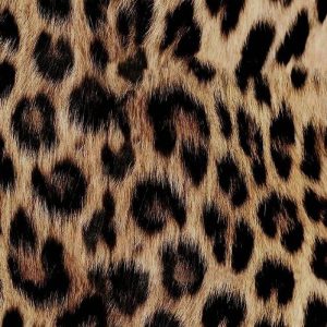 Waterdichte stof , digitale dierenprint,  , bruin en zwart . X1192