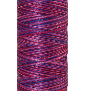 Amann Mettler garen ,poly sheen multi, 200 meter, kleur 9973. Girlie Girl Brights