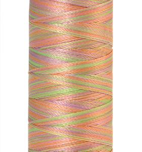Amann Mettler garen ,poly sheen multi, 200 meter, kleur 9935. Baby Girl pastels