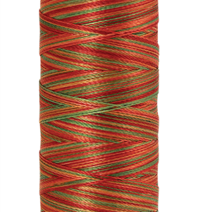 Amann Mettler garen ,poly sheen multi, 200 meter, kleur 9939. Mexicana