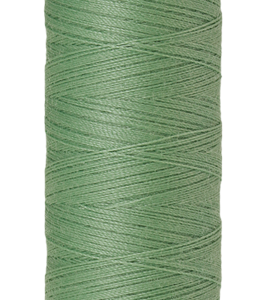 Amann Mettler garen Seralon 200 meter, kleur 0219 Frosted Mintgreen