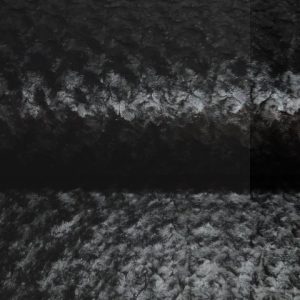 Borg stof met folie, roosjes motief, zwart. X473