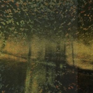 Lycra honey stof 4 way stretch, fel groen. LY434